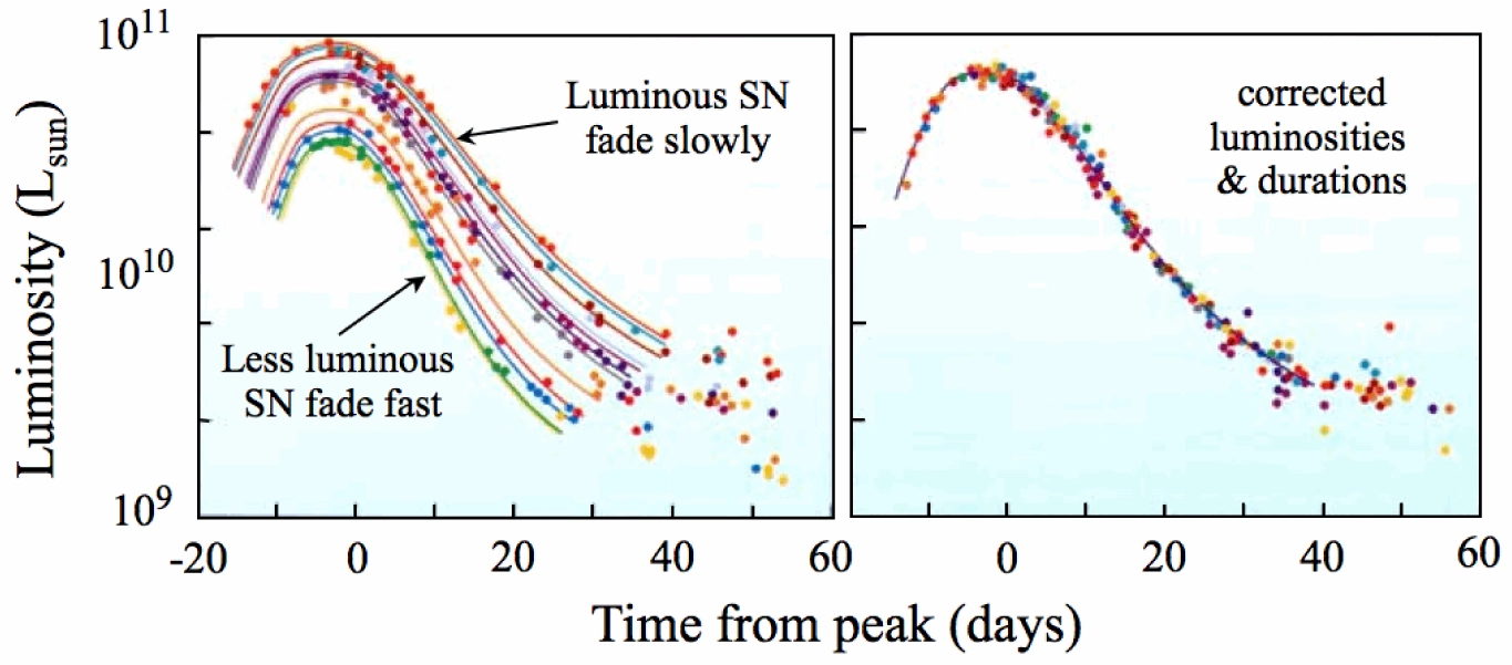"Light Curves of SN Ia"